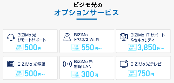 ビジモ光のオプション