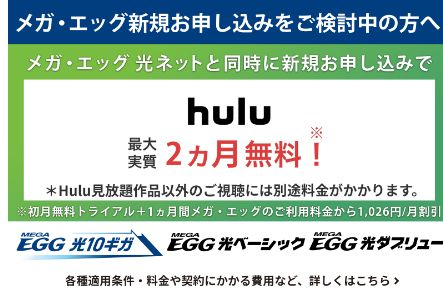 MEGA EGG光の公式Web申込み特典